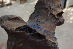 This strange mineral grows on dead bodies and turns them blue